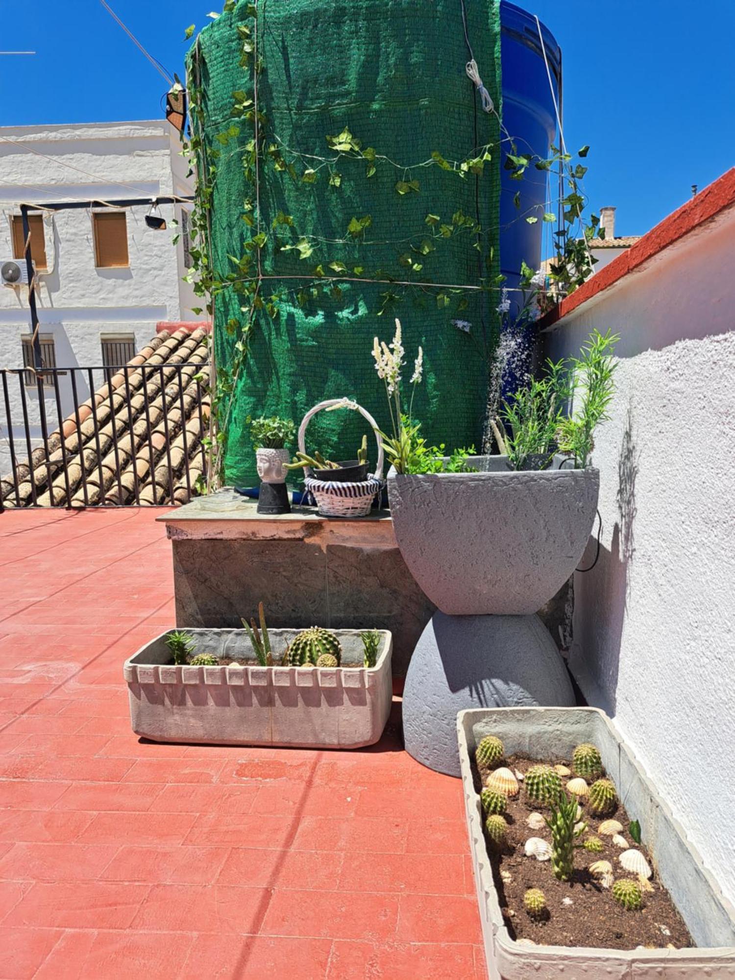 Casa Paloma Διαμέρισμα Jaén Εξωτερικό φωτογραφία